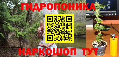 ГАЛЛЮЦИНОГЕННЫЕ ГРИБЫ Заволжье