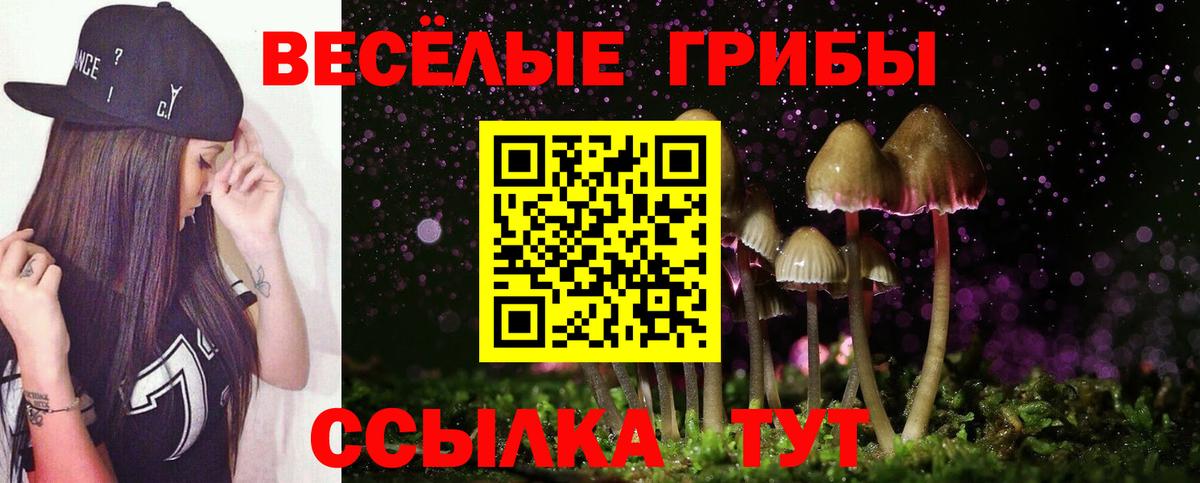 Псилоцибиновые грибы мухоморы Клин